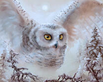 Без бренда «2KMB-3848» в Симферополе