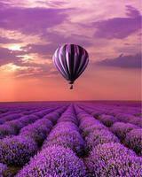 Без бренда «Фиолетовый воздушный шар над фиолетовым лавандовым полем» в Симферополе