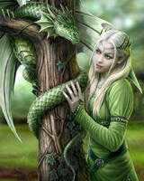 Без бренда «Эльфийка и зеленый дракон» в Симферополе