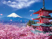 Без бренда «2KSB-7277» в Симферополе