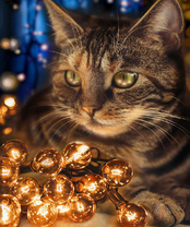 Без бренда «2KXSB-0678» в Симферополе