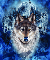 Без бренда «2KXSB-0687» в Симферополе