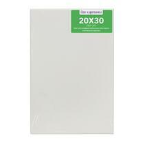 Без бренда «Коробка 80 шт.: Холст Две картинки на подрамнике 20X30» в Симферополе