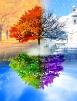 Без бренда «BOX10-2KLB-6100» в Симферополе