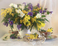 Без бренда «Натюрморт из мимоз и колокольчиков (20шт)» в Симферополе