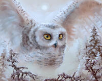 Без бренда «Полярная сова над лесом (20шт)» в Симферополе