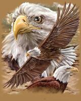 Без бренда «Коробка 20 шт: Орёл крупным планом» в Симферополе