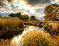 Без бренда «BOX25-GX29355» в Симферополе