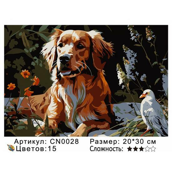 Картина по номерам 20x30 CN0028