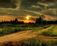 Без бренда «Проселочная дорога на закате» в Симферополе