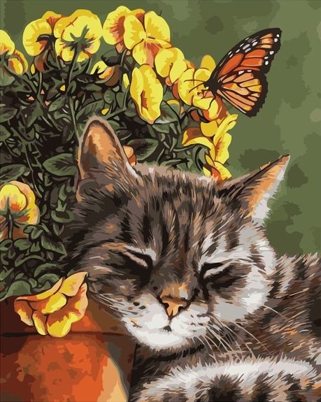 Картина по номерам 40x50 Кот спит у цветка