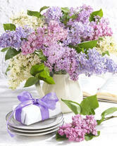 Нежный натюрморт с сиренью