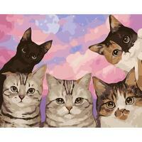 Без бренда «Такие разные котики» в Симферополе