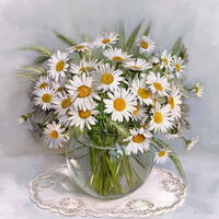 Без бренда «Букет свежих ромашек» в Симферополе в интернет-магазине  Без бренда «Букет свежих ромашек» в Симферополе