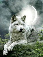 Без бренда «Коробка 25 шт. картин по номерам BOX25-GX21058» в Симферополе