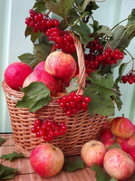 Без бренда «Коробка 25 шт. картин по номерам BOX25-GX5174» в Симферополе в интернет-магазине  Без бренда «Коробка 25 шт. картин по номерам BOX25-GX5174» в Симферополе