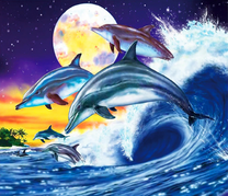 Игривые дельфины под полной луной