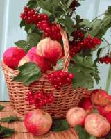 Без бренда «Плетёная корзина с калиной и яблоками» в Симферополе