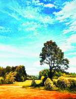 Без бренда «Осенний пейзаж с голубым небом» в Симферополе