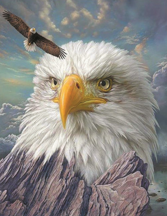 Алмазная мозаика 40x50 Большой орел над горой
