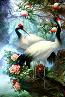 Без бренда «Коробка 25 шт. картин по номерам BOX25-GX29399» в Симферополе в интернет-магазине  Без бренда «Коробка 25 шт. картин по номерам BOX25-GX29399» в Симферополе