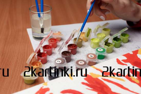 Картина по номерам 40x50 Test4 за 0 руб. в интернет-магазине Картина по номерам 40x50 Test4