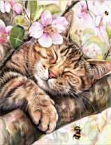 Без бренда «Волосатый котик спит на ветви яблони» в Симферополе в интернет-магазине  Без бренда «Волосатый котик спит на ветви яблони» в Симферополе