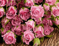 Букет мелких розовых роз